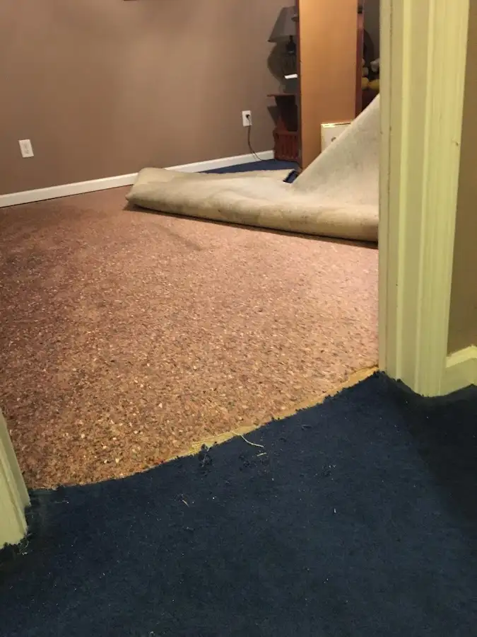 Carpet pad removal revealing water damage during Drying & Dehumidification in Palmerton