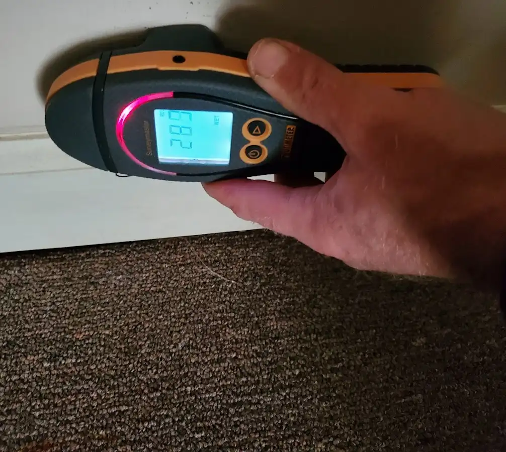 Moisture detection at baseboard during Sewage Cleanup & Sanitation in Palmerton